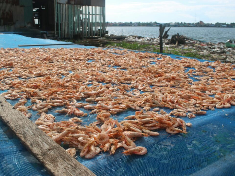 Vietnam shrimp POR19 antidumping case study — frozen shrimp export, U.S. trade-defense procedural volatility analysis by Lotus Investment Group