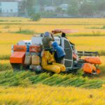 Hợp tác nông nghiệp Việt Nam – Hàn Quốc: cơ hội nâng giá trị và bài toán phân bổ rủi ro trong chuỗi cung ứng — Lotus Investment Group