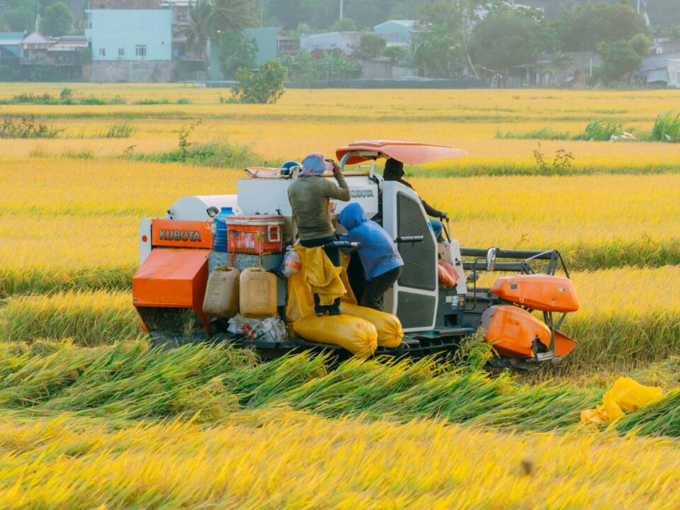 Hợp tác nông nghiệp Việt Nam – Hàn Quốc: cơ hội nâng giá trị và bài toán phân bổ rủi ro trong chuỗi cung ứng — Lotus Investment Group