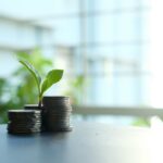 Tài chính xanh gặp M&A: trái phiếu gắn ESG và tín chỉ carbon trong cấu trúc thương vụ 2025 — Lotus Investment Group