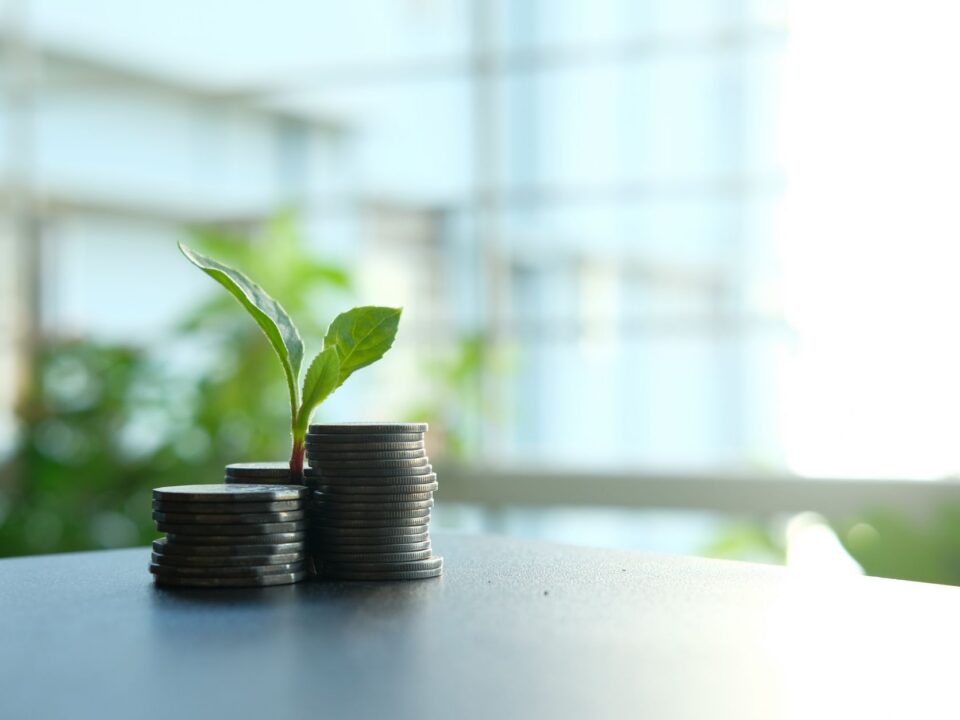 Tài chính xanh gặp M&A: trái phiếu gắn ESG và tín chỉ carbon trong cấu trúc thương vụ 2025 — Lotus Investment Group