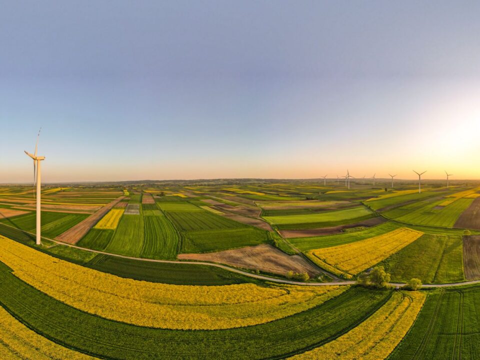 B. Grimm Power Vietnam: phân tích toàn diện một nền tảng năng lượng tái tạo Việt Nam — Lotus Investment Group
