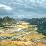 Agribank: hồ sơ chiến lược và triển vọng ngân hàng nông nghiệp nông thôn — Lotus Investment Group