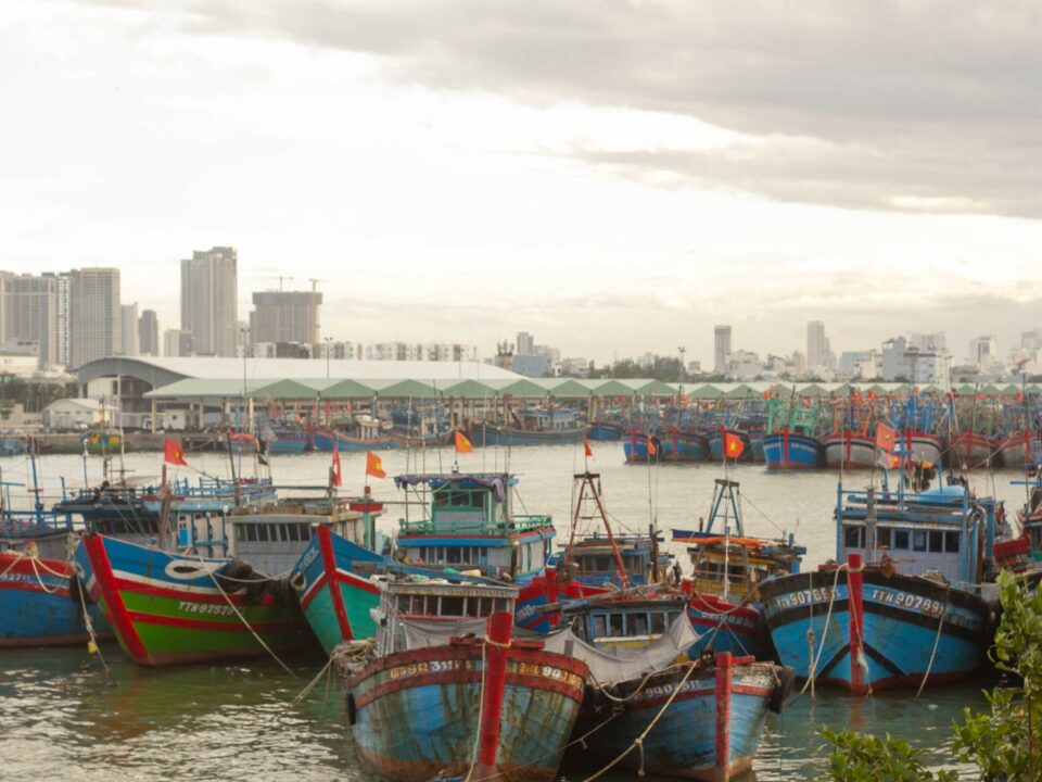Đường sắt đô thị Đà Nẵng: khi hạ tầng giao thông trở thành động cơ phát triển vùng — Lotus Investment Group
