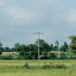Vietnam power sector investment — grid and pricing bottleneck analysis by Lotus Investment Group